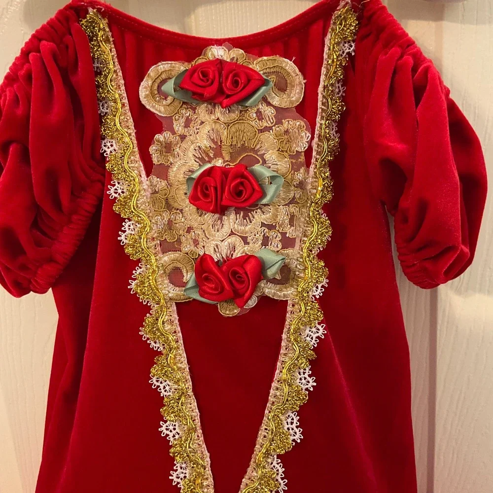 Victoria Dancewear Velvet Rosette Ballet Tutu Dance‎ Costume Girls LC Red Gold